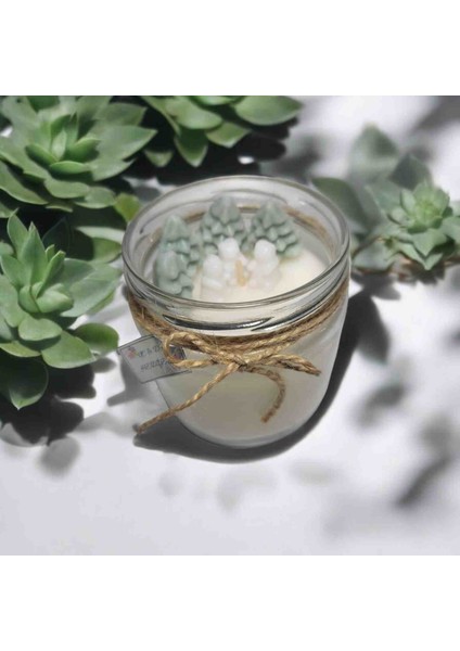 Uc&da Dekoratif Hediyelik Kapaklı Lavanta Kokulu Çam Ağaçlı Mum 425 gr