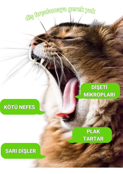 Vegan Bitkisel İçerikli Kedi Köpek Diş Temizleme Islak Hijyenik Parmak Mendil 50 Adet