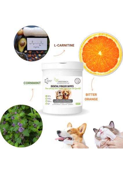 Vegan Bitkisel İçerikli Kedi Köpek Diş Temizleme Islak Hijyenik Parmak Mendil 50 Adet