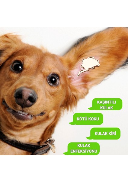 Göz Kulak Temizleme Parmak Mendil Tahriş Giderici Hijyenik Islak Mendil Kedi Köpek Vegan Bitkisel Içerikli 50 Adet