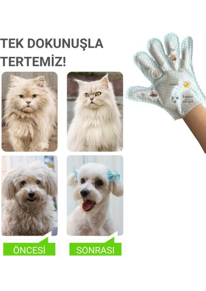 Eldiven Islak Mendil Tek Kullanımlık Yüz Göz Kulak Ağız Pati Arka Bölge Temizliği Kolay Taşıma Kedi Köpek 6 Adet