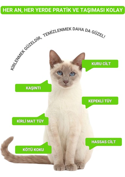 Eldiven Islak Mendil Tek Kullanımlık Yüz Göz Kulak Ağız Pati Arka Bölge Temizliği Kolay Taşıma Kedi Köpek 6 Adet