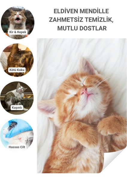 Eldiven Islak Mendil Tek Kullanımlık Yüz Göz Kulak Ağız Pati Arka Bölge Temizliği Kolay Taşıma Kedi Köpek 6 Adet