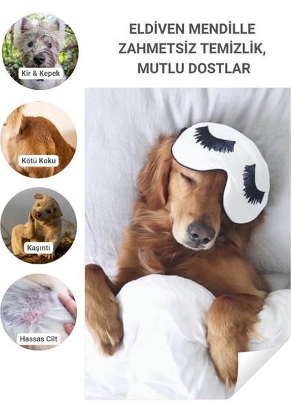 Eldiven Islak Mendil Tek Kullanımlık Yüz Göz Kulak Ağız Pati Arka Bölge Temizliği Kolay Taşıma Kedi Köpek 6 Adet