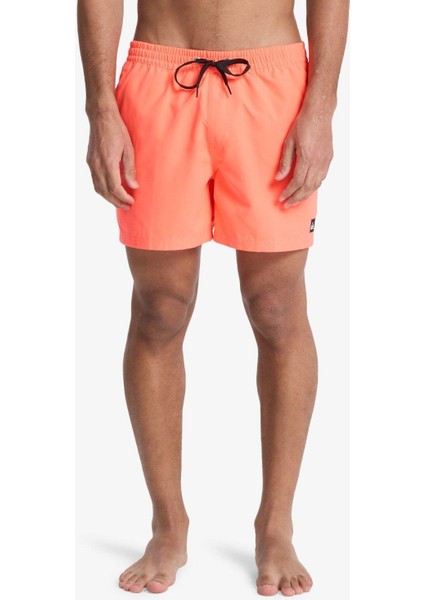 Everyday Solid Volley 15 Erkek Şort Mayo EQYJV04120