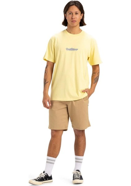 EQYZT08062-YEM0 Fineline Ss Erkek Spor Tişört indirimleri