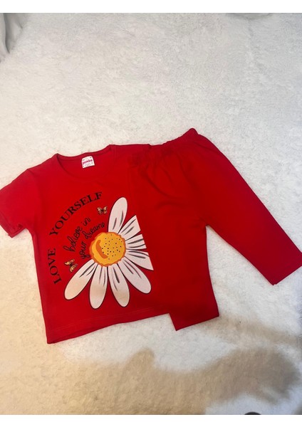 Kız Çocuk Desenli Alt ve Üst Takım