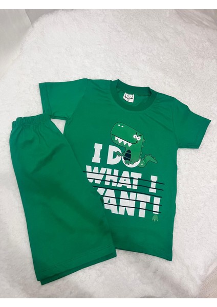 Erkek Çocuk Yeşil Dinazor Baskılı Şortlu 2'li Takım fiyatları