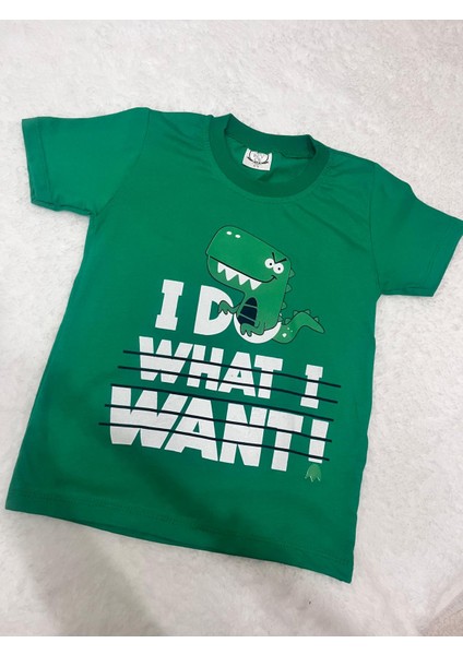 Erkek Çocuk Yeşil Dinazor Baskılı Şortlu 2'li Takım modelleri