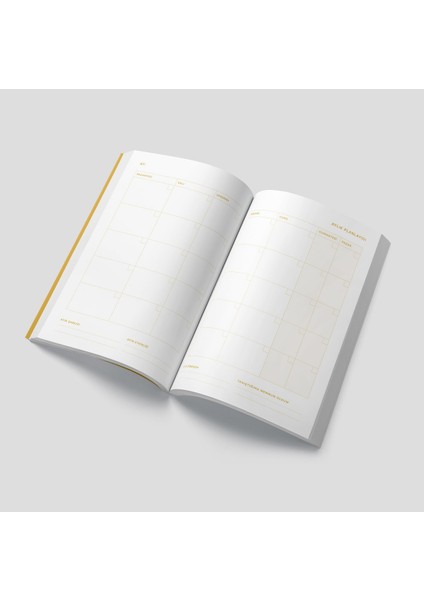 Sarı Renew Planner