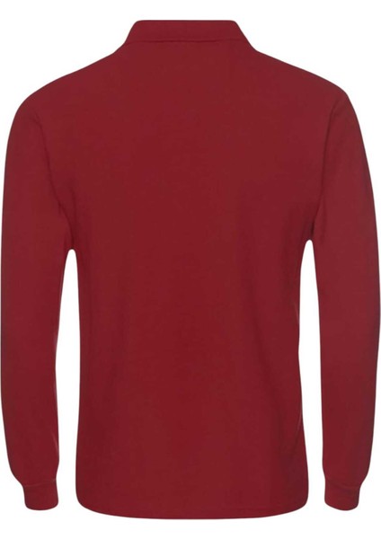 Erkek Çocuk Uzun Kol Pamuklu Polo Yaka T-Shirt Günlük ve Okul Uniforma Okul T-Shirt indirimleri