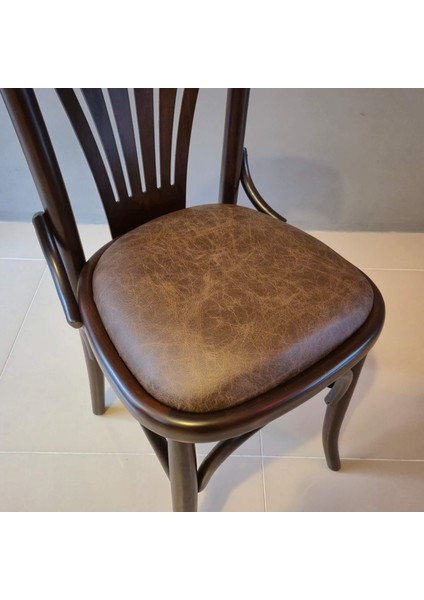 Tonet Ahşap Sandalye, Gürgen Ahşap, Değiştirebilir Kumaş ve Renk modelleri