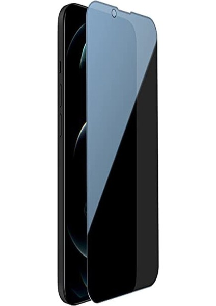 Apple iPhone 13/13 Pro Uyumlu Hayalet Tam Kaplayan Kırılmaz Ekran Koruyucu