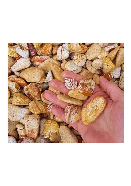 Dolomit Taşı Sarı Çizgili 6-10 cm 5 kg Doğal Dekorasyon Taşı fırsatları