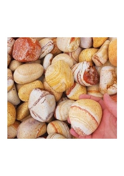 Dolomit Taşı Sarı Çizgili 6-10 cm 5 kg Doğal Dekorasyon Taşı indirimleri