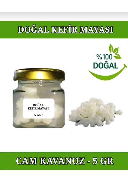 Doğal Kefir Mayası 5 gr Cam Kavanoz Canlı Kefir Taneleri % 100 DOĞAL.