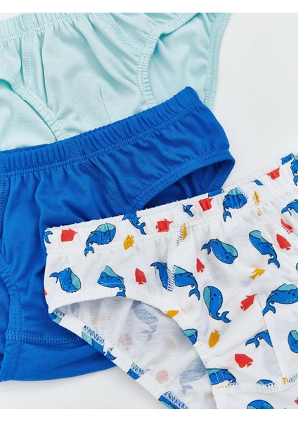 Lcw Kids Beli Lastikli Baskılı Erkek Çocuk Külot 3'lü fiyatları