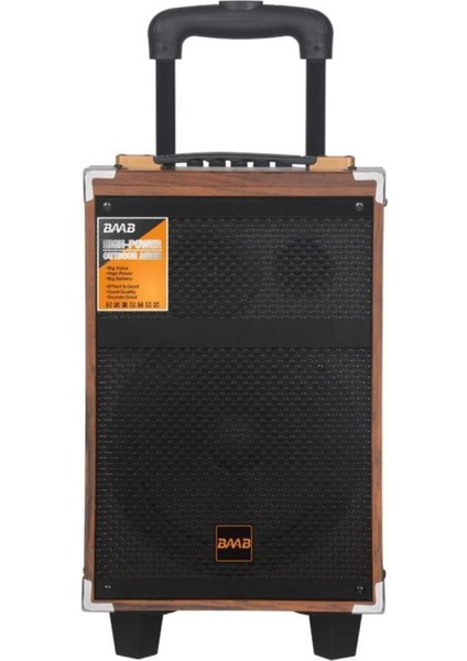 B-Q12 12''30CM Kablosuz 1 El Mikrofon Bluetooth Şarjlı Müzik Kutusu