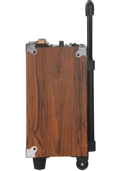 B-Q12 12''30CM Kablosuz 1 El Mikrofon Bluetooth Şarjlı Müzik Kutusu