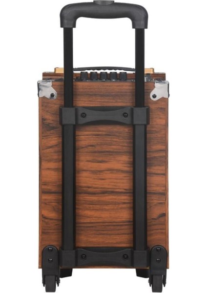 B-Q12 12''30CM Kablosuz 1 El Mikrofon Bluetooth Şarjlı Müzik Kutusu