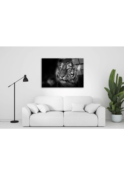 Aslan Cam Tablo 50 x 70 cm
