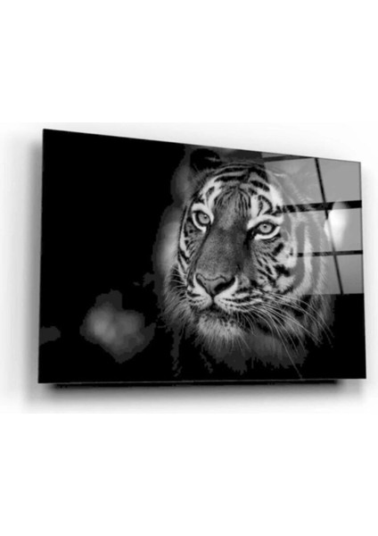Aslan Cam Tablo 50 x 70 cm