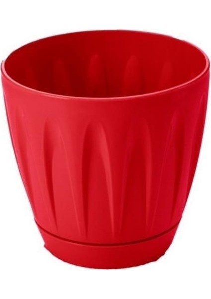 SO-P003 Papatya Saksı Takım 3 Litre No 3