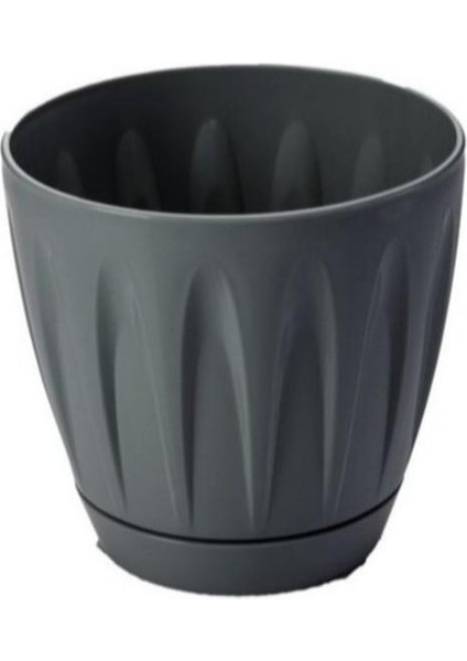 SO-P004 Papatya Saksı Takım 6 Litre No 4