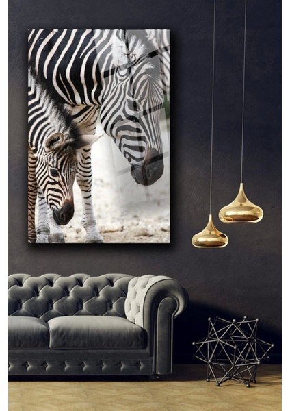 Zebra Cam Tablo Duvar Dekarasyonu