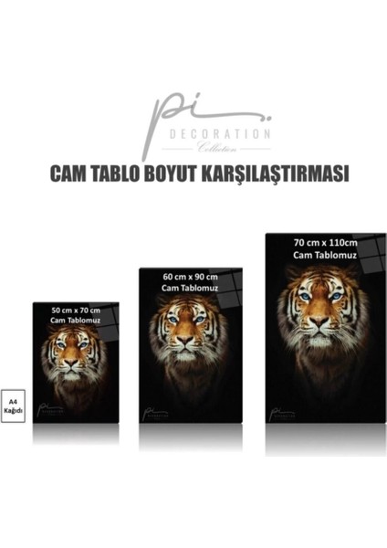 Kadın Portre Cam Tablo