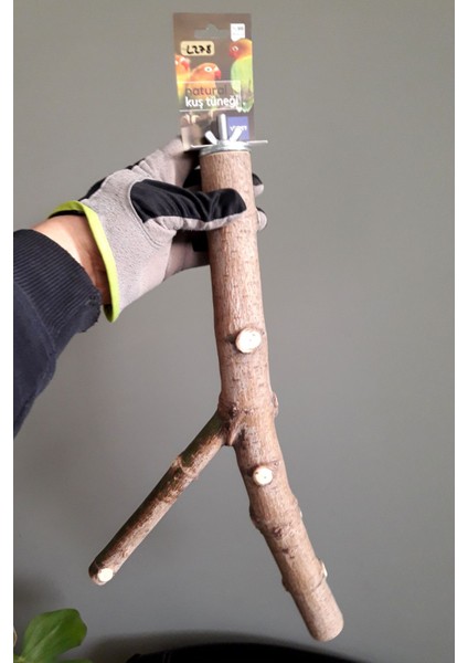 Venty 42 cm Doğal Şekilli Papağan Tüneği - Dal Tünek | Macaw, Kakadu, Jako, Amazon, Alex, Eklektus, Konur Türleri İçin İdeal - L278 fiyatları