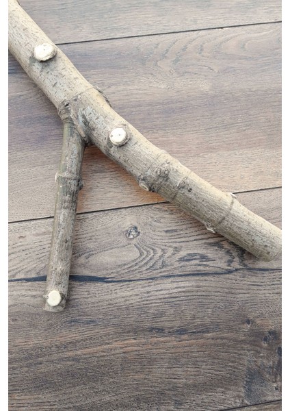 Venty 42 cm Doğal Şekilli Papağan Tüneği - Dal Tünek | Macaw, Kakadu, Jako, Amazon, Alex, Eklektus, Konur Türleri İçin İdeal - L278 fırsatları