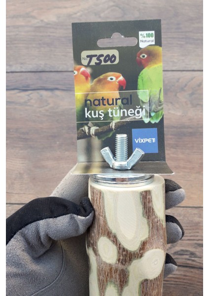 Venty 17 cm / Çapı 50 mm Doğal Papağan Tüneği | Macaw, Kakadu, Jako, Amazon, Eklektus | T500 fırsatları