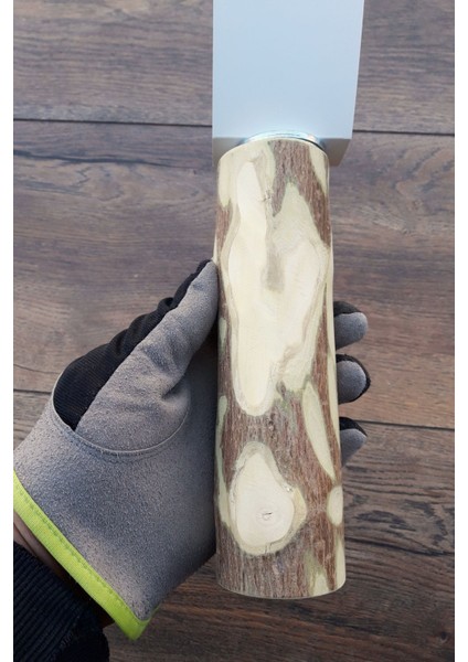 Venty 17 cm / Çapı 50 mm Doğal Papağan Tüneği | Macaw, Kakadu, Jako, Amazon, Eklektus | T500 indirimleri