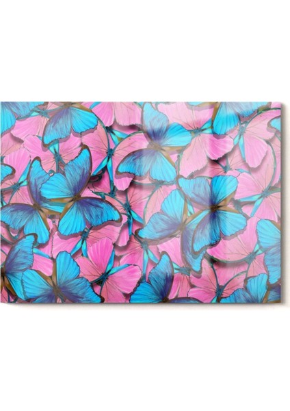 Pembe ve Mavi Kelebek | Hayvan Temalı Cam Tablo | 50 x 70 cm