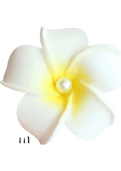 Inci Çiçek Saç Klipli Plumeria Çiçekleri Yan Patlama Klip Plaj Pençe Klipleri Kadınlar Için Başlık Hawai Ettes Accessoriescolor: 3 (Yurt Dışından)