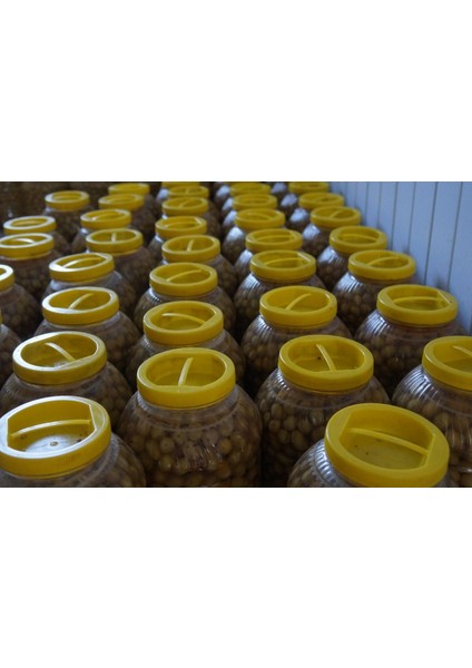 Kırma Yeşil Zeytin