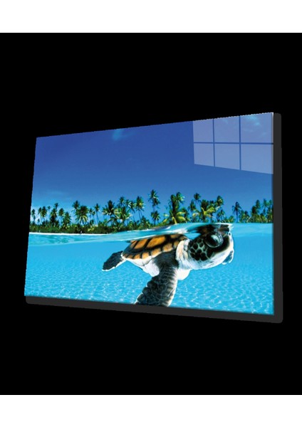 Deniz Kaplumbağası Cam Tablo Sea Turtle