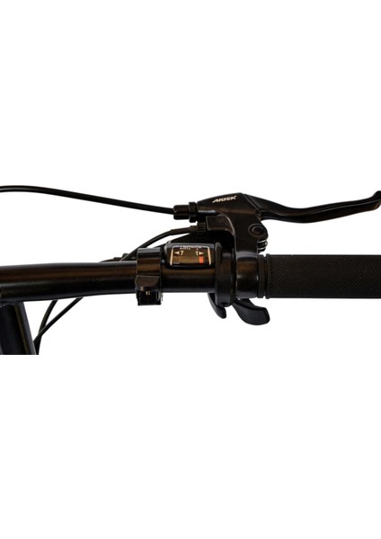 Sasha Elektrikli Şehir Bisikleti - 250W Motor, 20 Inç Jant, LED Aydınlatma, Mavi modelleri