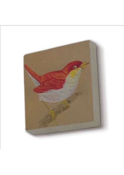 Kuş Baskılı Taş Magnet 5x5