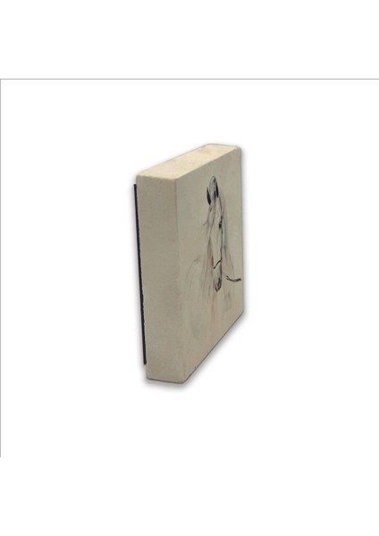 At Baskılı Taş Magnet 5x5 modelleri