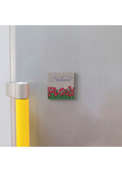 Hollanda Lale Görseli Baskılı Taş Magnet 5x5 fiyatları