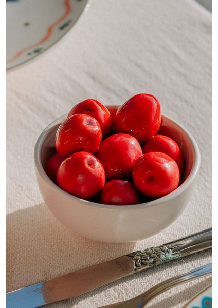 Pancarlı Yeşil Zeytin %100 Doğal Premium Net 720 Gr. | Doğal Fermente, Katkısız Koruyucusuz indirimleri
