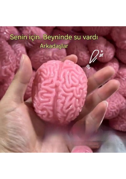 Beyin Sıkıştırma Müzik Dekompresyon Dekompresyon Oyuncakları Yavaş Geri Tepme Beyin Çiçek Oyuncakları (Yurt Dışından)