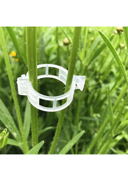 200 Adet Güvenli Plastik Bitki Klipsi, 2024 Yükseltme Bitki Destek Klipsleri, Tırmanma Bitkileri Için Bahçe Klipsleri (Yurt Dışından)