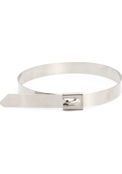 10 Adet 0.39" x 15.75" Paslanmaz Çelik Metal Kablo Zip Kravat Sarma Egzoz Askıları (Yurt Dışından) fırsatları