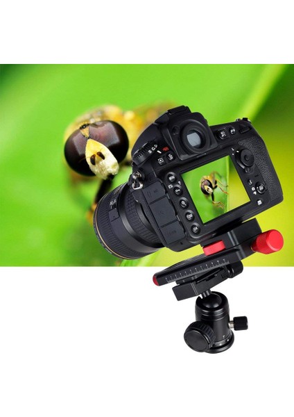 Tamamı Metal Solucan Sürücü Makro Raylı Ince Odaklama Odaklama Arca / Rrs Kol Kelepçesi Uyumlu (Yurt Dışından) indirimleri