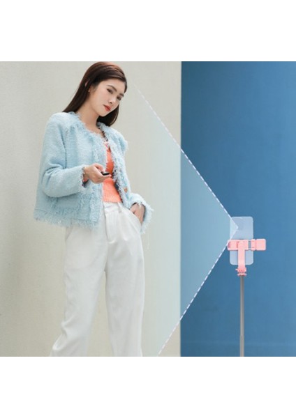Selfie Çubuğu Dereceli Fotoğraf Tutucu Tripod Uzaktan Kumandalı Canlı Yayın Lambalı Tripod Genişletilebilir Monopod, 1.1m Pembe (Yurt Dışından)