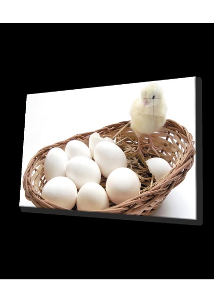 Civciv Yumurta Cam Tablo Chick Egg