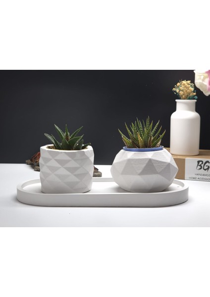 Tepsili Sukulent Saksı Seti Tip-5